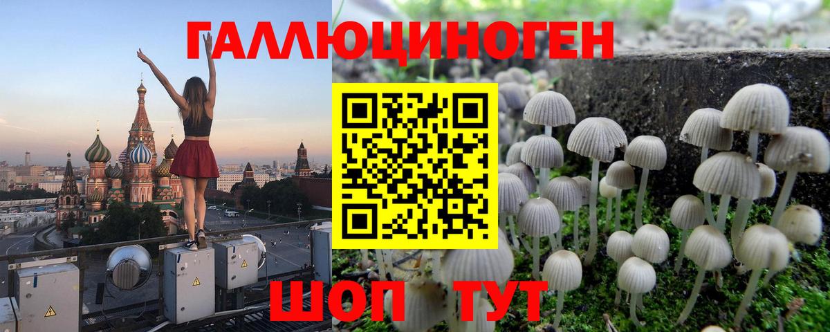 Галлюциногенные грибы мицелий Белая Калитва