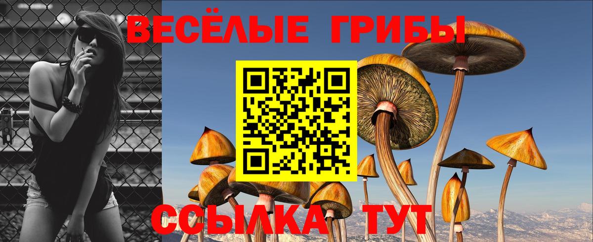 купить закладку  Вход с VPN  Белая Калитва  Псилоцибиновые грибы мицелий 